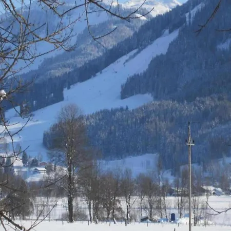 Appealing In Near Lake, Cleaning Included * Saalfelden